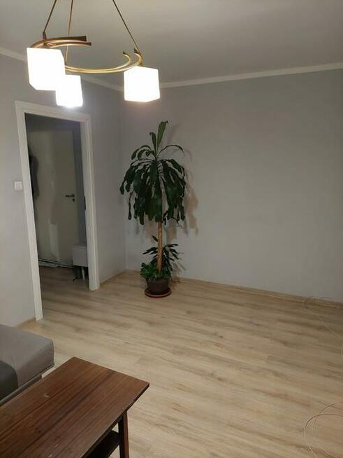 Mieszkanie, ul. Orzeszkowej, Lwówek Śląski, dolnośląskie