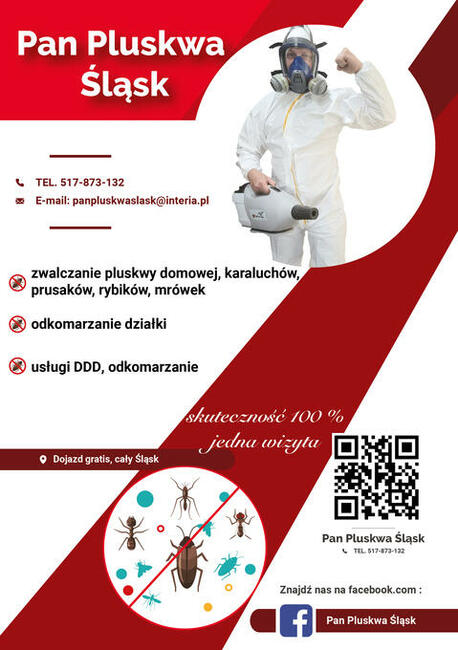 Pluskwa domowa, pluskwy, pozbądź się pluskwy, karaluchow