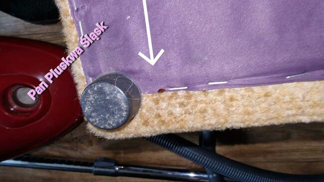 Pluskwa domowa, pluskwy, pozbądź się pluskwy, karaluchow