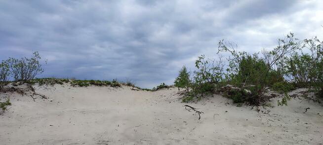 PRZYCZEPA DO WYNAJĘCIA - JASTARNIA