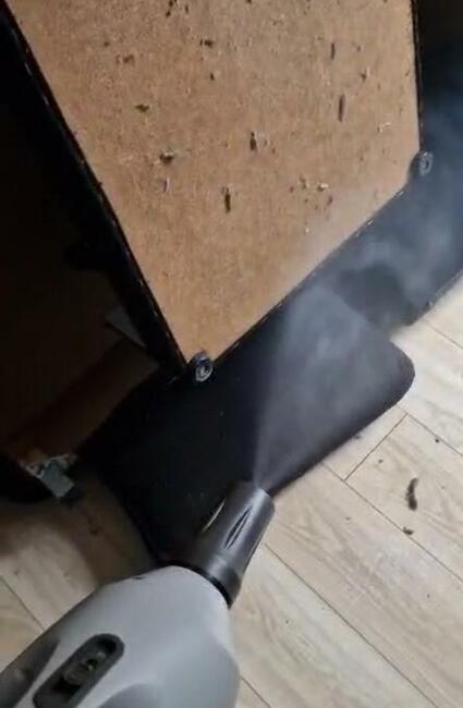 Pluskwa domowa, pluskwy, pozbądź się pluskwy, karaluchow