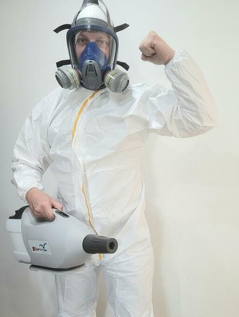 Pluskwa domowa, pluskwy, pozbądź się pluskwy, karaluchow