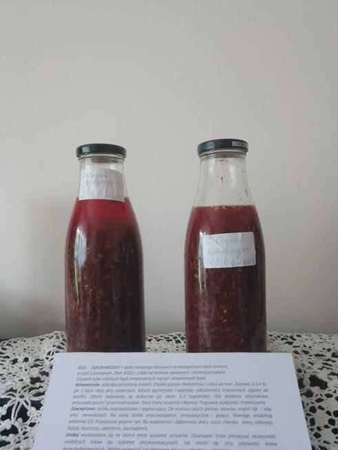 Domowy syropu z pokrzywy z dziko rosnącej