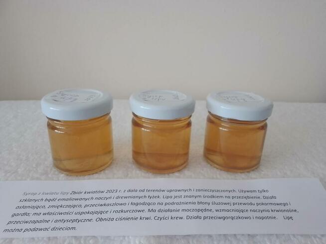 Domowy syropu z pokrzywy z dziko rosnącej