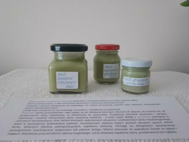 Domowy syropu z pokrzywy z dziko rosnącej