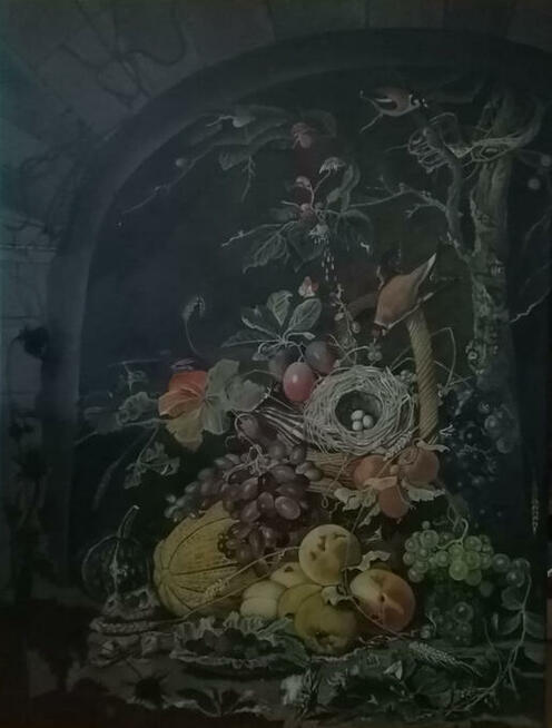 Sprzedam martwa natura Niderladzka