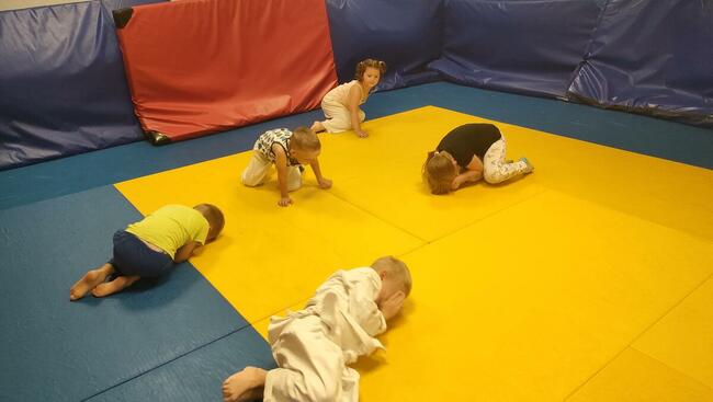Dla przedszkolaków : JUDO!!!