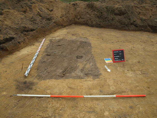 Archeolog / nadzór archeologiczny