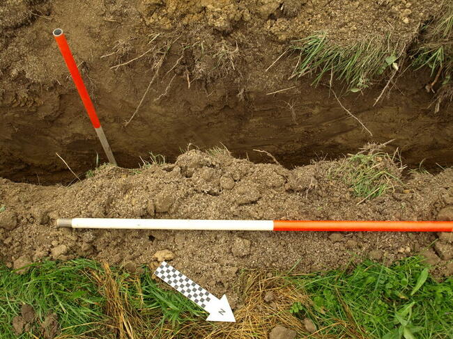 Archeolog / nadzór archeologiczny