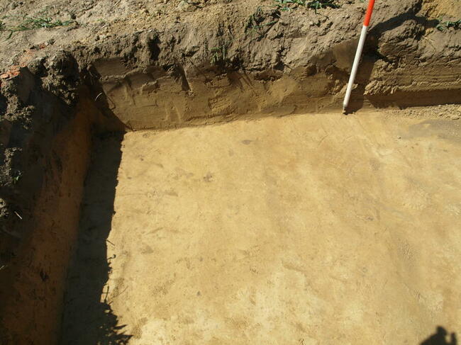 Nadzór archeologiczny