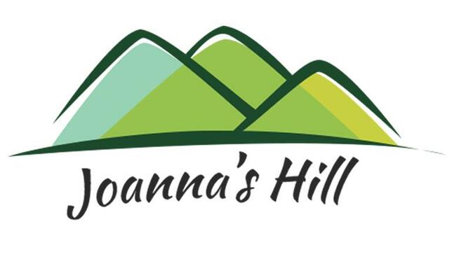 Lektor języka angielskiego dla dzieci poszukiwany:)