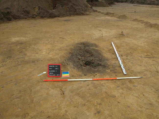 Archeolog / Nadzór archeologiczny