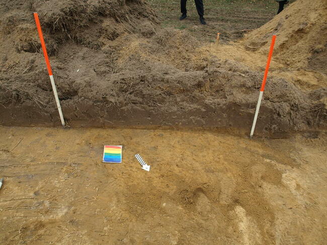 Archeolog / nadzór archeologiczny