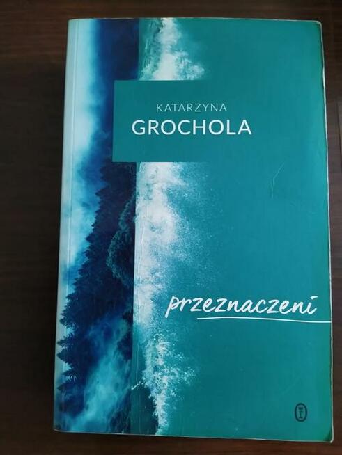 Katarzyna Grochola Przeznaczeni