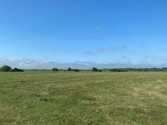 Na sprzedaż 5 działek / łąki zalewowe nad rzeką Narew.
