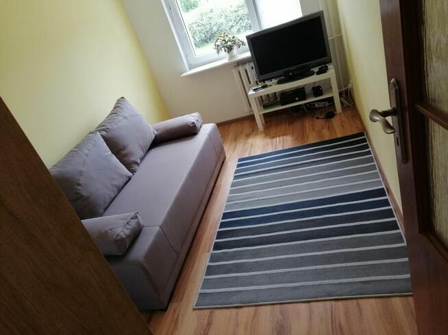 Pokój do wynajęcia !!!!