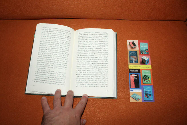 Rosa Montero - Ta żałosna myśl Nowa