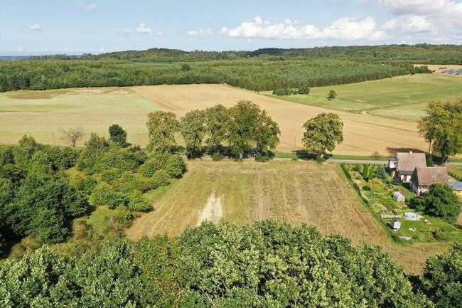 WOLINIA-GŁóWCZYCE-6700m2 WZ nr-186- 187-PRĄD-WODA-KANAL-ŁEBA