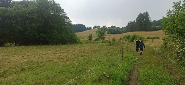 Sprzedam dużą działkę w Górach Sowich w lesie przy strumyku