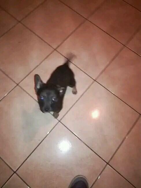 Poznam wolna/sympatyczna kolezanke