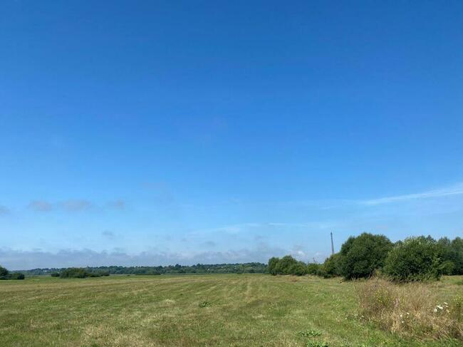 Na sprzedaż 5 działek / łąki zalewowe nad rzeką Narew.