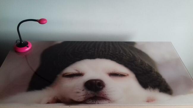 Szkło do kuchni-Grafika UV