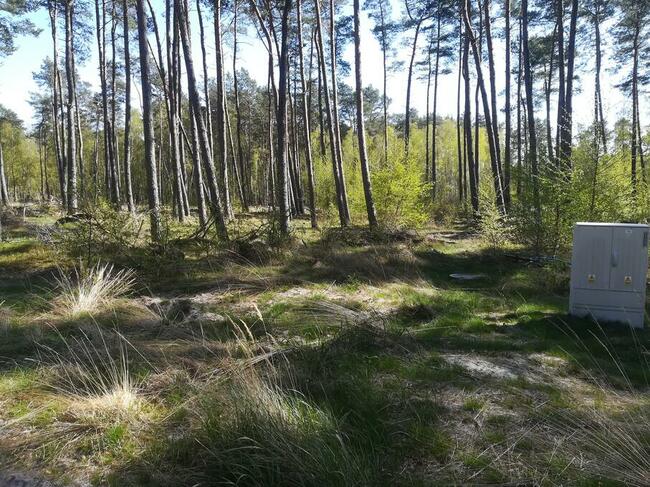 Sprzedam działke budowlaną w Dziwnowie