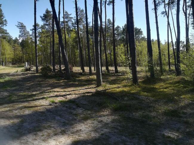 Sprzedam działke budowlaną w Dziwnowie