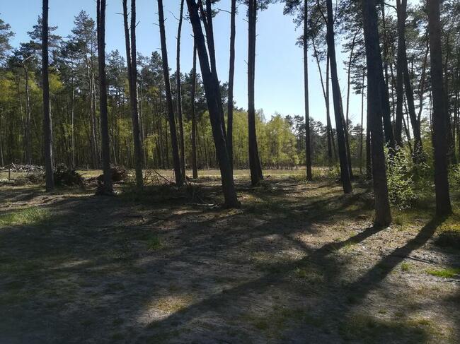 Sprzedam działke budowlaną w Dziwnowie