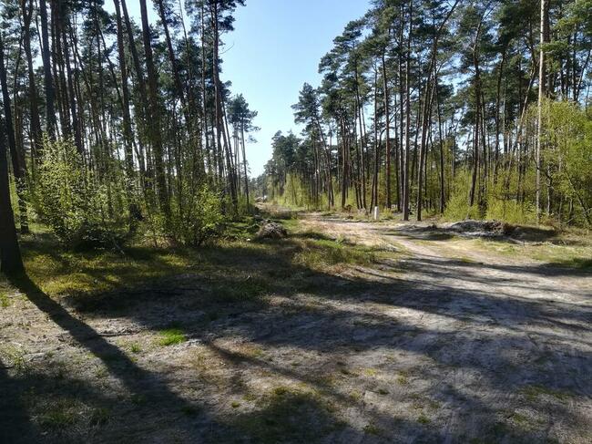 Sprzedam działke budowlaną w Dziwnowie