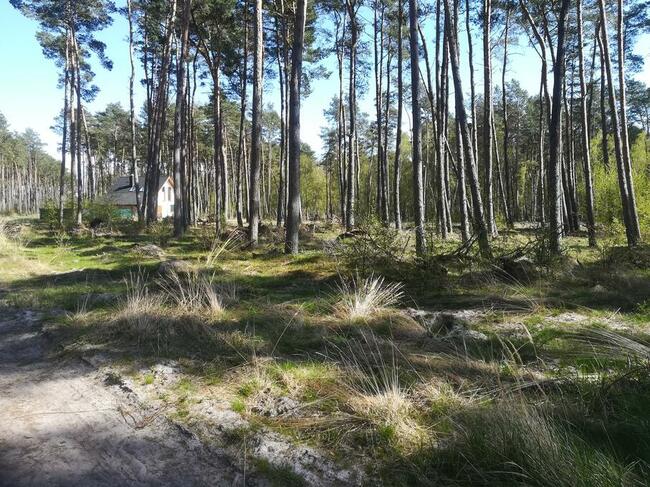 Sprzedam działke budowlaną w Dziwnowie