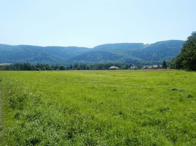 DZIAŁKA OKOLICE POLANICY ZDRÓJ