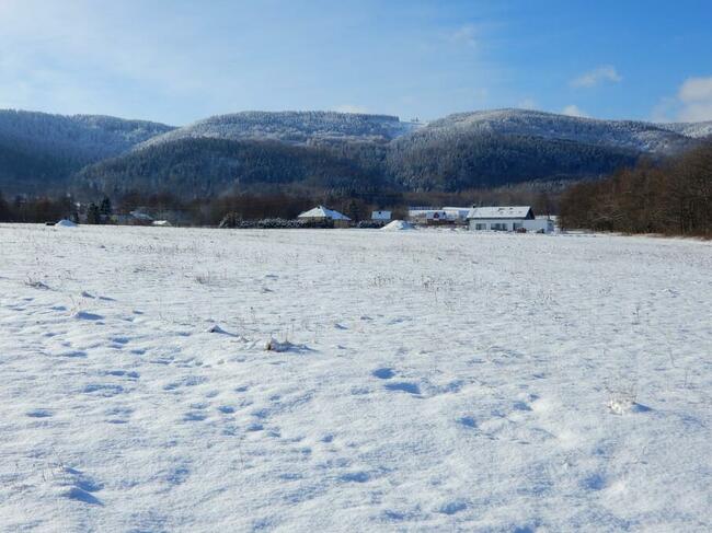 Działka 60 arów w Kotlinie Kłodzkiej okolice Polanicy Zdrój