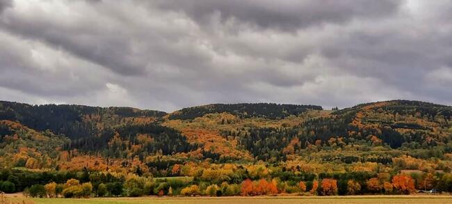 Działka 60 arów w Kotlinie Kłodzkiej okolice Polanicy Zdrój