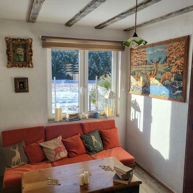 Domki w Górach Lasówka Zieleniec