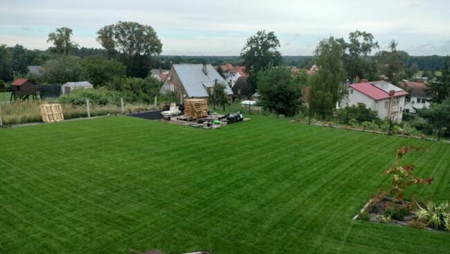 Zakładanie Trawników Usługi Ogrodnicze