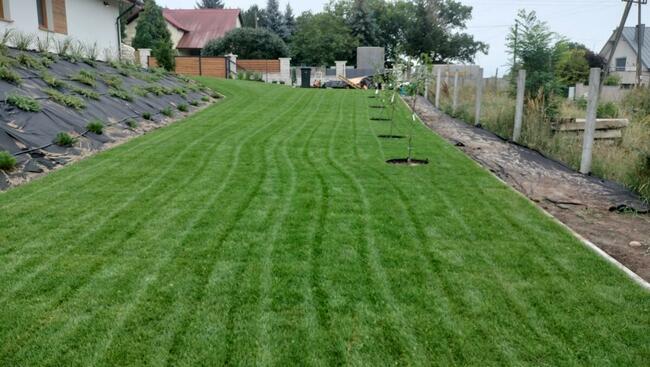 Zakładanie Trawników Usługi Ogrodnicze