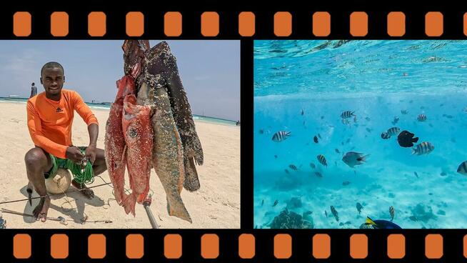 Montaż filmów / Edycja video / Obróbka video