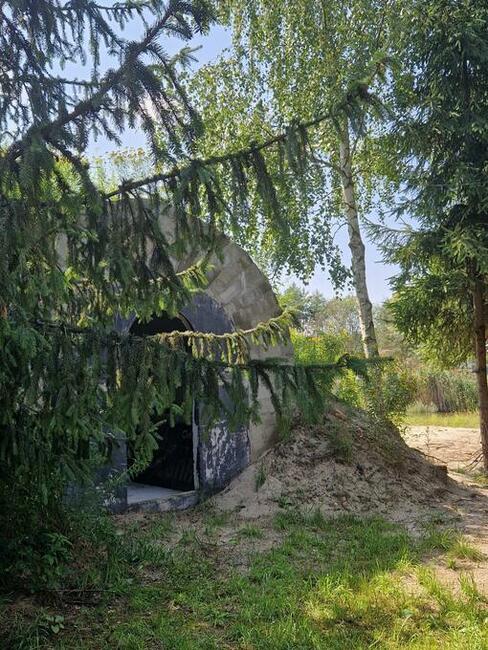 Urokliwe siedlisko kolo Opola