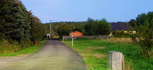 Niedźwiedź gmina Kobylanka