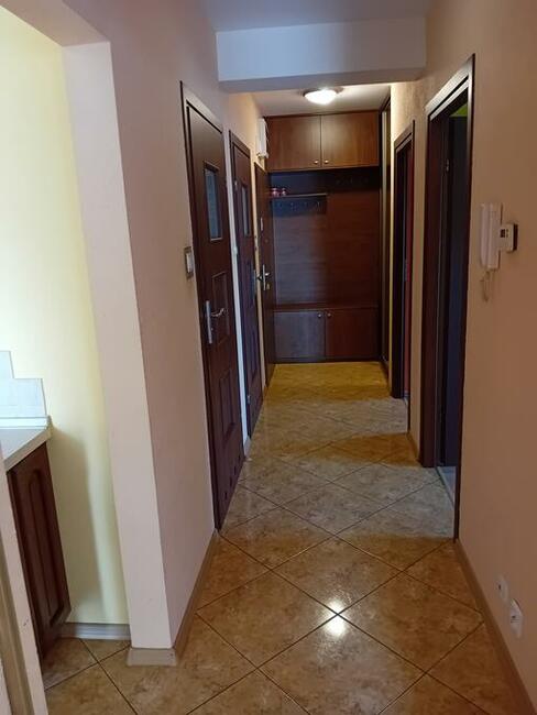 mieszkanie 3 pokojowe wynajme