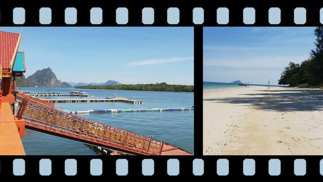 Montaż filmów / Edycja video / Obróbka video