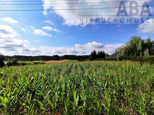 Działka rolna z możliwością zabudowy Licheń Stary