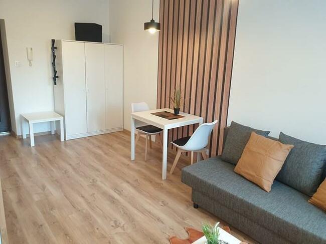 Przemysłowa 21, Bałuty, studio, 0% PROWIZJI!