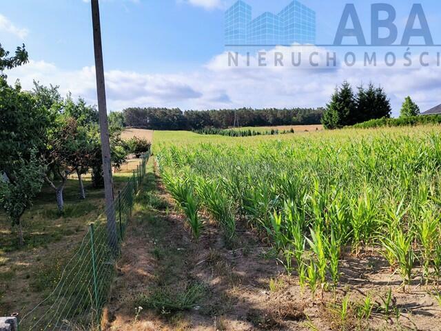 Działka rolna z możliwością zabudowy Licheń Stary