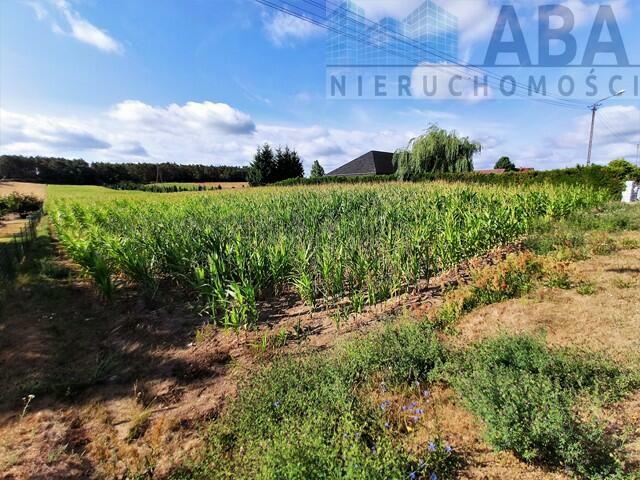 Działka rolna z możliwością zabudowy Licheń Stary