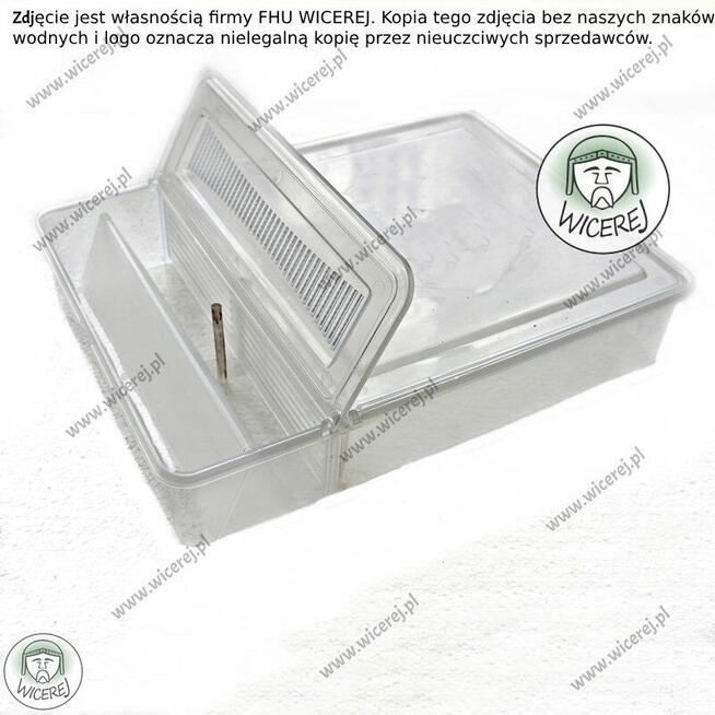 Podkarmiaczka skrzynkowa 3,5L przeźroczysta Duża syrop ciast