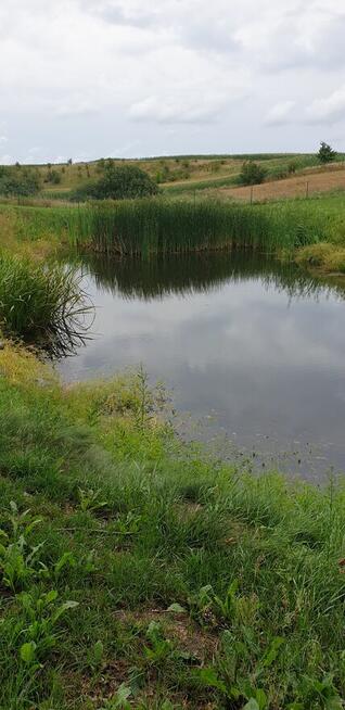 Sprzedam działkę na mazurach