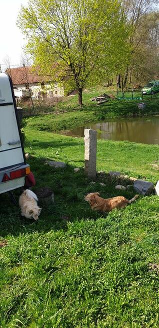 Sprzedam działkę na mazurach