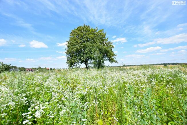 Działka rolno-budowlana Pólko